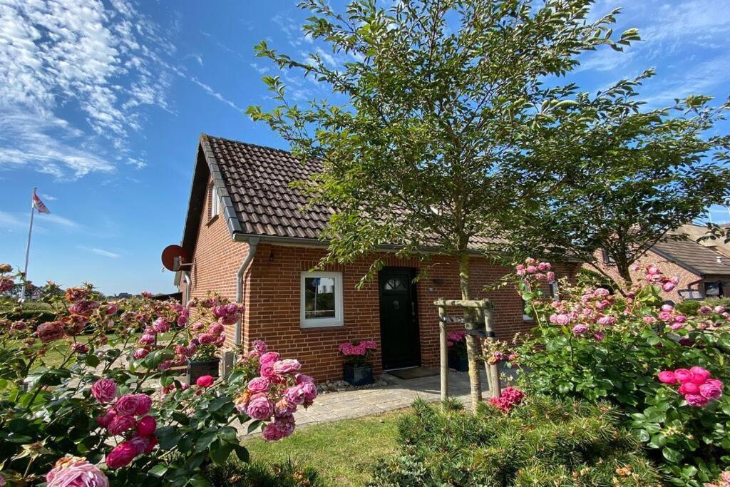 Morgensonne Ferienhaus